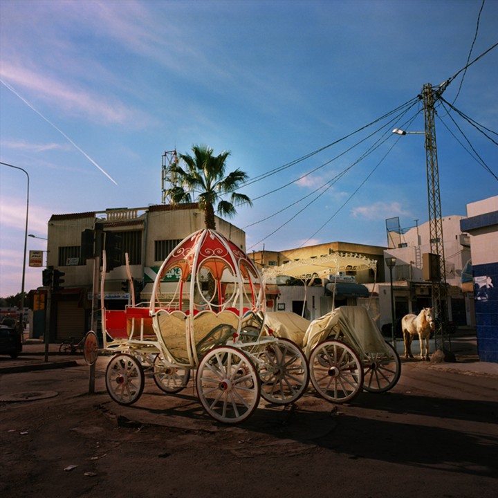 Early Days of Spring exhibition in Milan